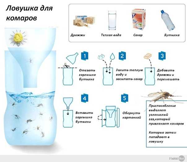 Ловушки для комаров в квартире и на улице: как выбрать лучшую