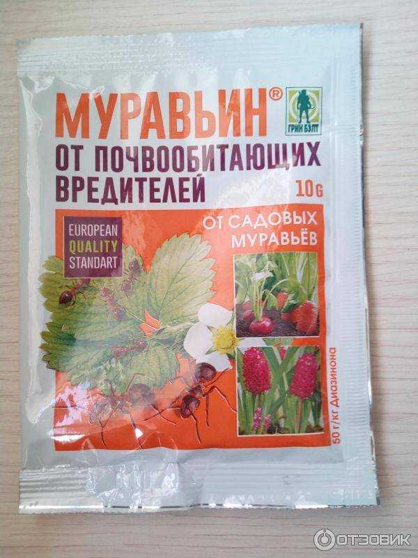 Способы избавиться от муравьев раз и навсегда