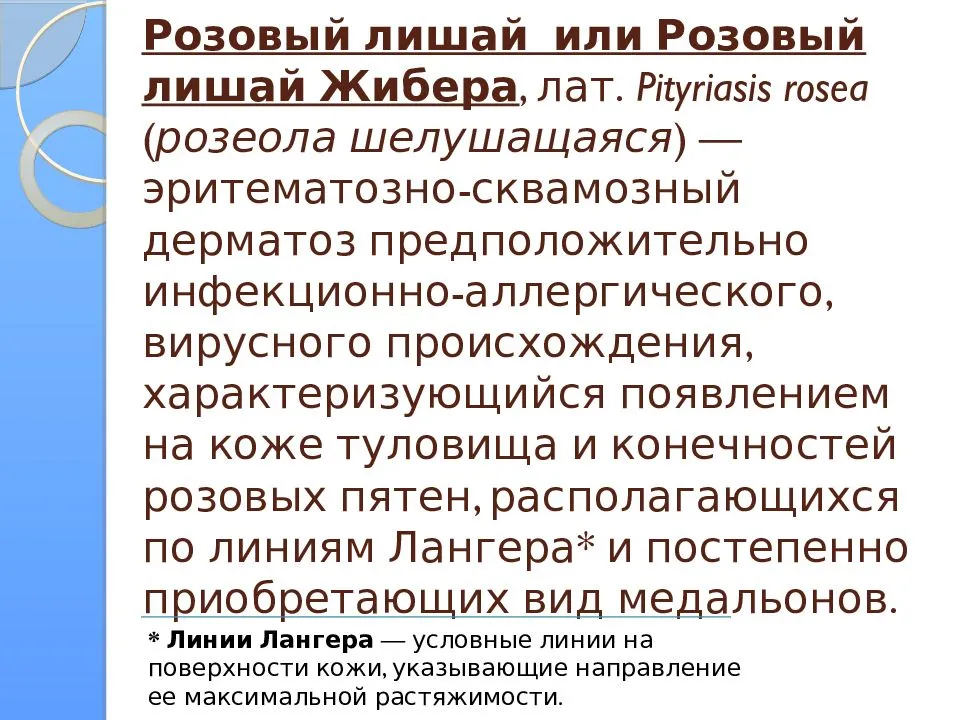 Причины возникновения зуда у собаки, при отсутствии блох: на что может возникнуть аллергия, действия при обнаружении эктопаразитов, болезней, аллергенов