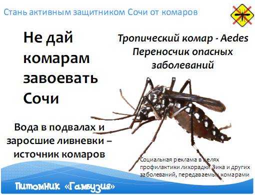 Какой этаж лучше выбрать для здоровья в новом доме