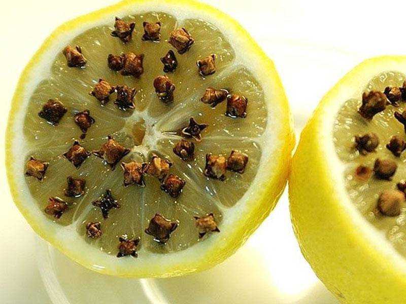 Масла от насекомых. эфирные масла от насекомых. | здоровье человека