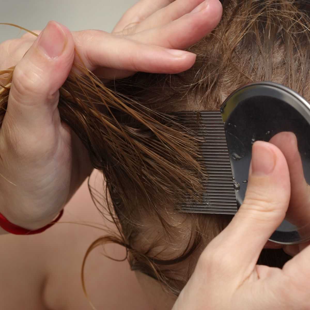 Что делать если после помывки волос их не расчесать