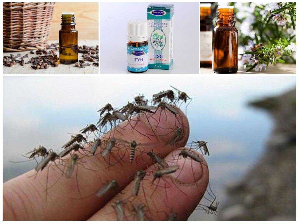 Эфирные масла от комаров