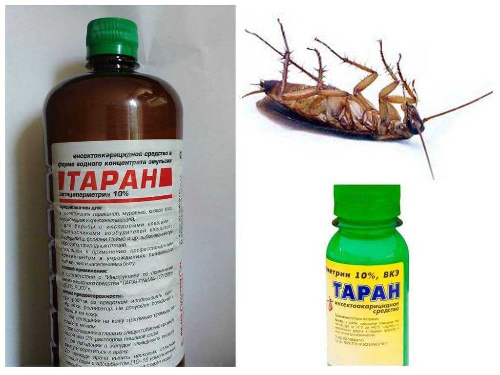 «комбат» от тараканов — обзор средств и отзывы покупателей