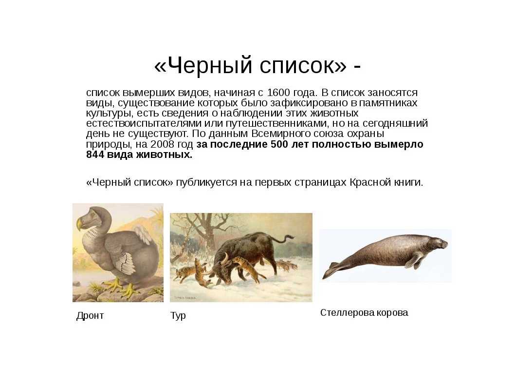 Назовите данные вымершие организмы. Вымершие животные Нижегородской области. Какие животные вымерли в 2022. Какие животные вымерли в результате человеческой деятельности.