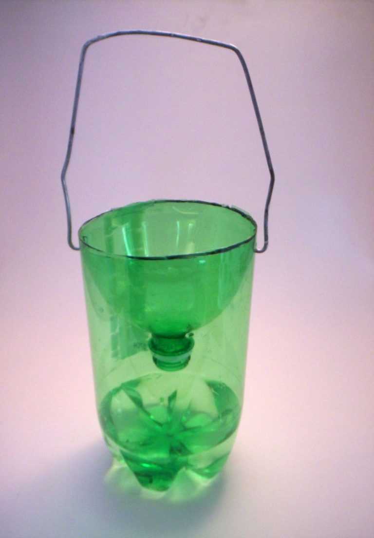 Ловушка для ос из пластиковой бутылки фото