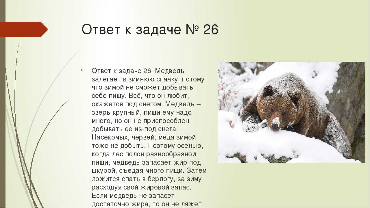 Сочинение по картине пробуждение от спячки 5 класс