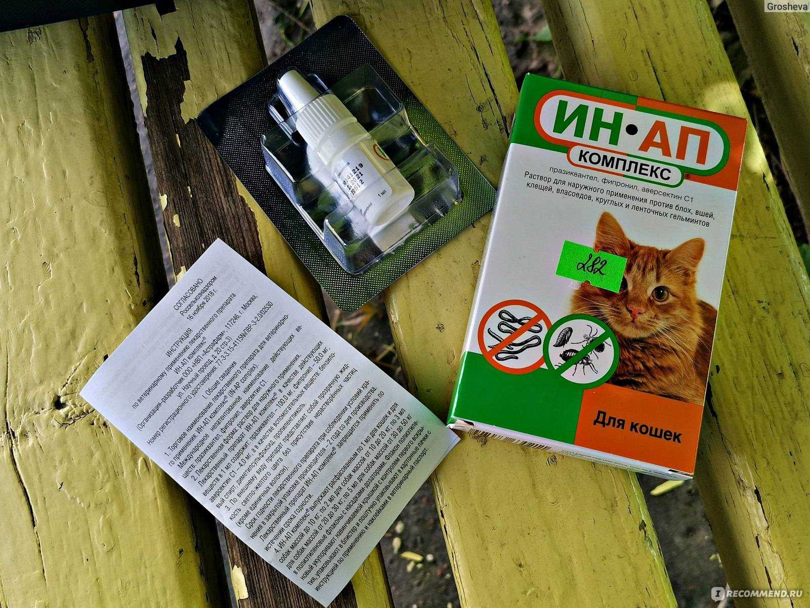 Капли для котят от блох: виды, применение, дозировка | ваши питомцы