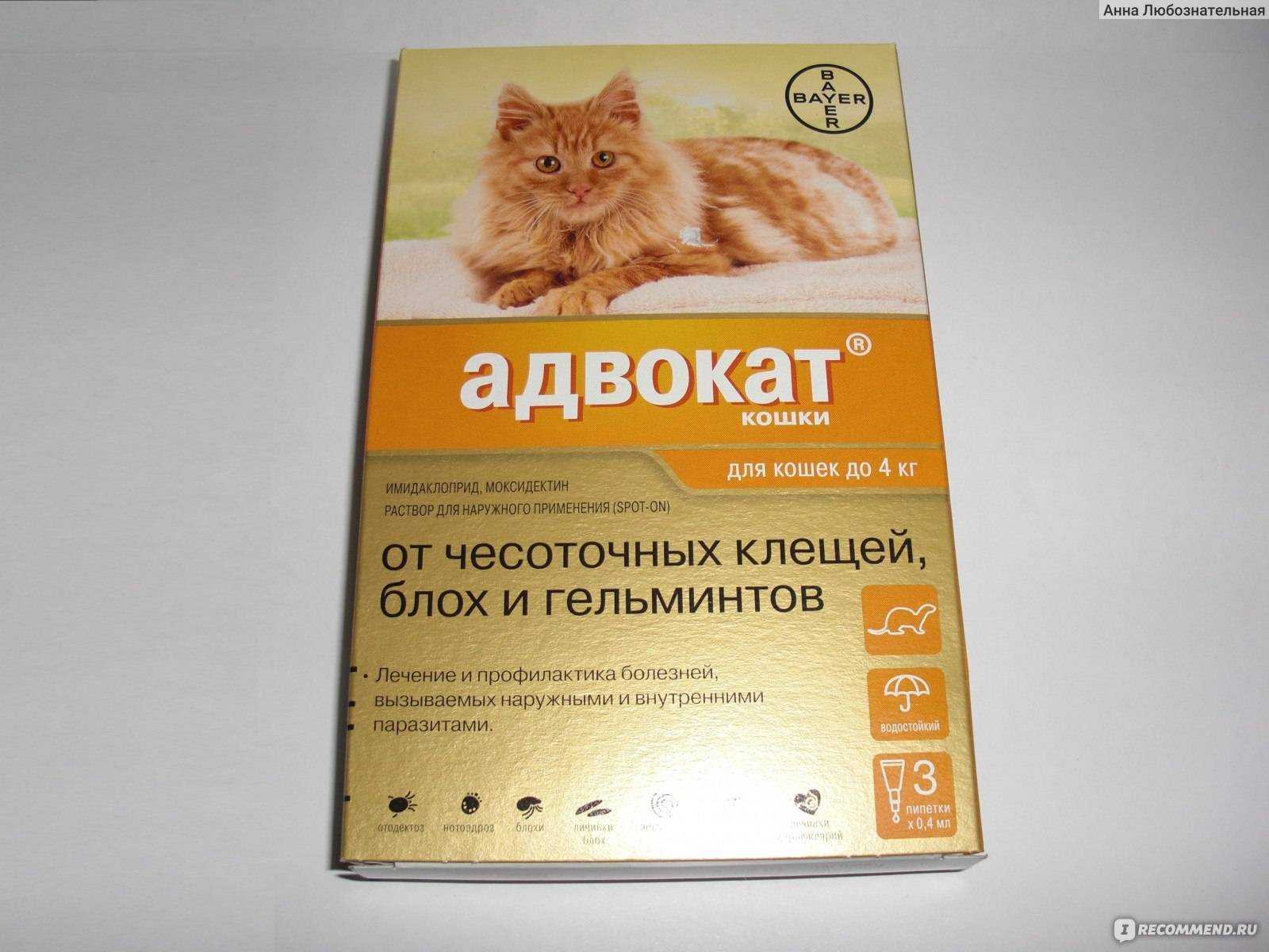 Лучшие капли на холку от глистов