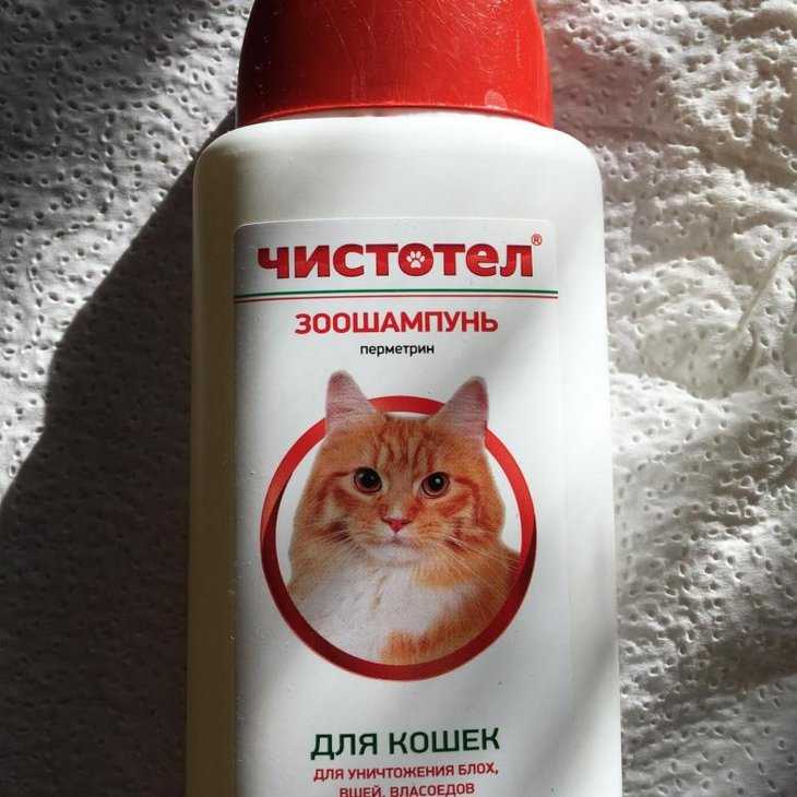 🧼лучшие шампуни от блох для кошек в 2022 году