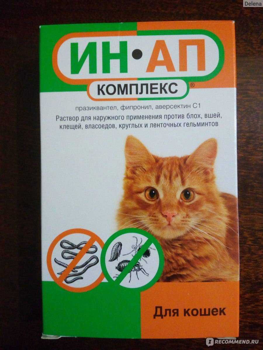 Куда лучше капать капли от блох кошке