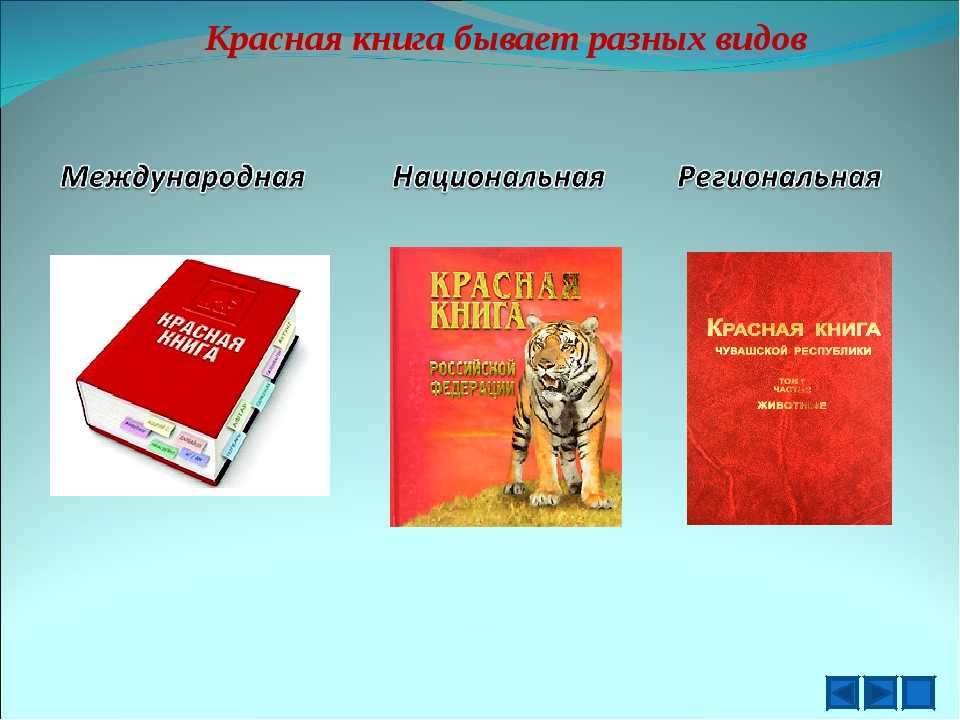 Международная красная книга 4 класс