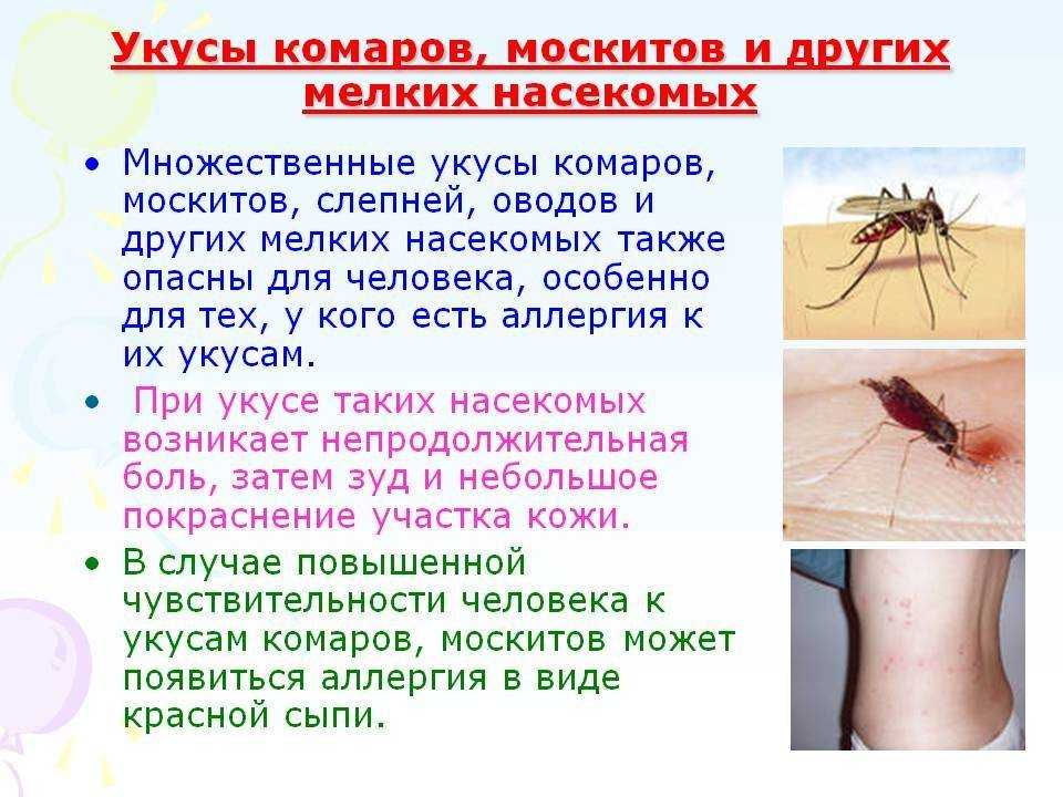 Кусаются ли тараканы и насколько сильно они вредят человеку. | parnas42.ru