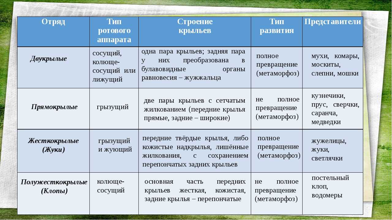 Используя рисунки 212 и 213 отметьте особенности строения и образа жизни