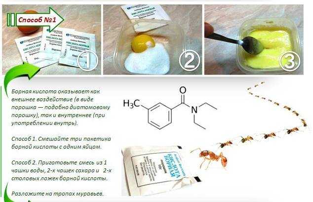 Желток и борная кислота от тараканов пропорции рецепт с фото пошагово