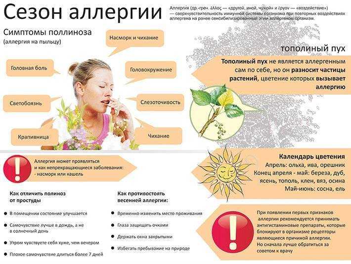 Укусы насекомых: как оказать первую помощь и когда обращаться к врачу | рязань