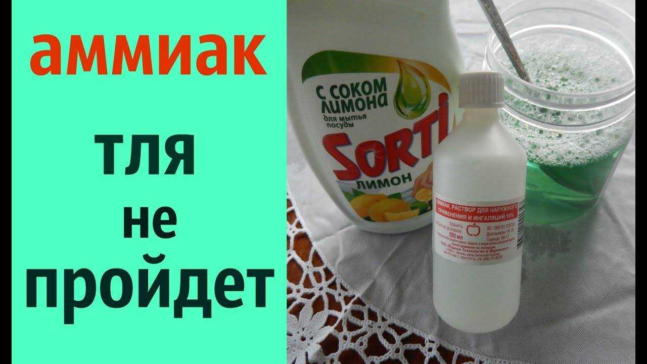 Тля на комнатных растениях, как избавиться