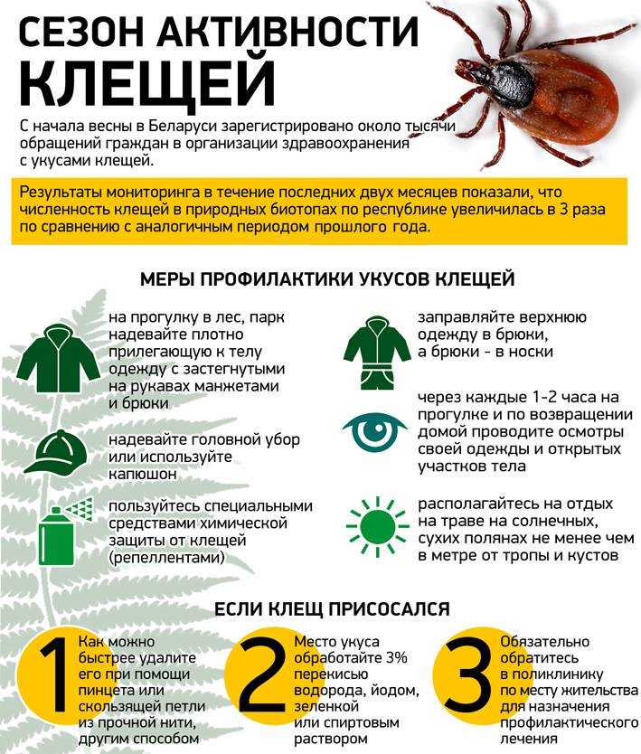 Порядок обращения граждан за медицинской помощью в случае обнаружения присосавшегося клеща - больница боткина