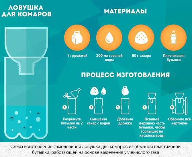 Как сделать ловушку для комаров из пластиковой бутылки? самодельные ловушки для борьбы с комарами
