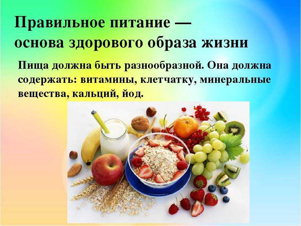 Как избавиться от мух на даче, в деревянном доме, в квартире — народные средства