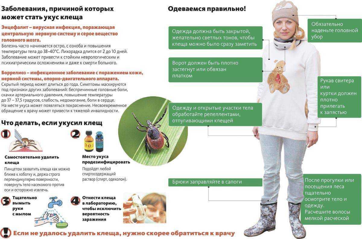 Средства защиты от клещей и кровососущих насекомых, репелленты от клещей и противоэнцефалитные костюмы — восток-сервис