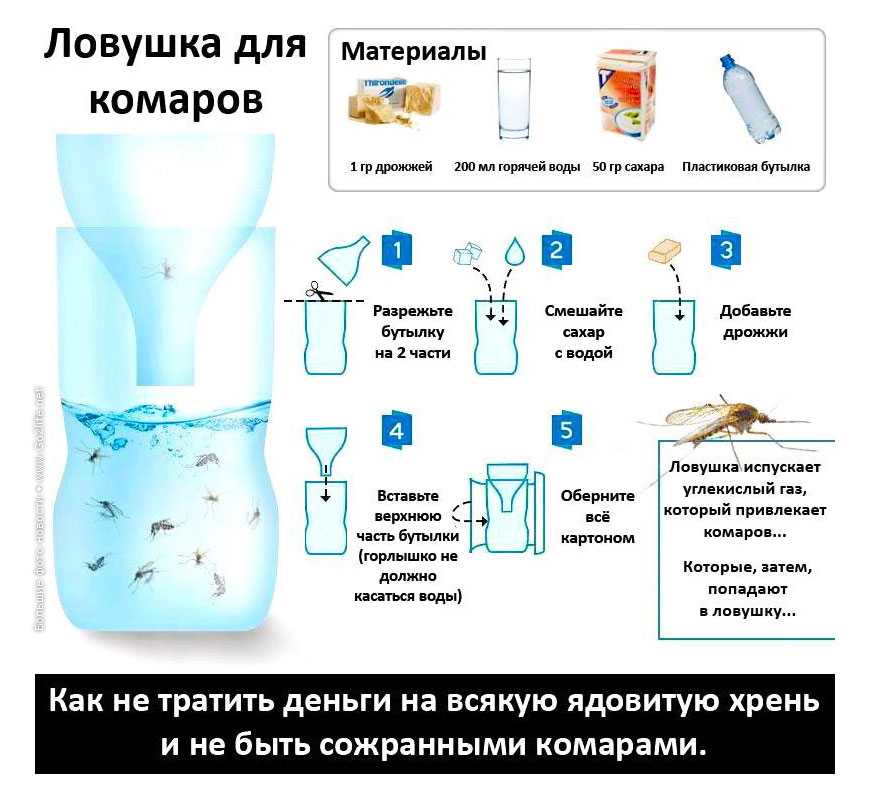 Ванилин от мошек: как разводить с водой для взрослых и детей