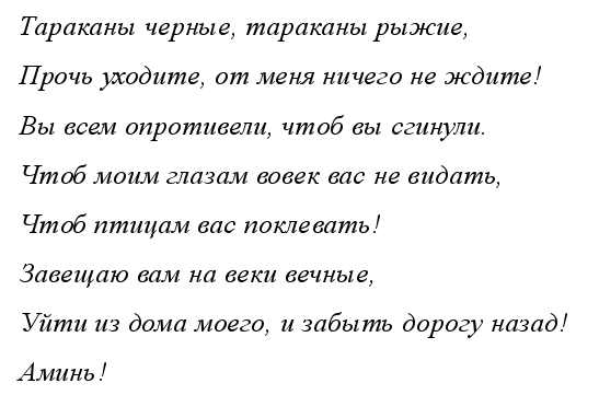 Как навсегда избавиться от тараканов: заговоры, обряды, молитвы