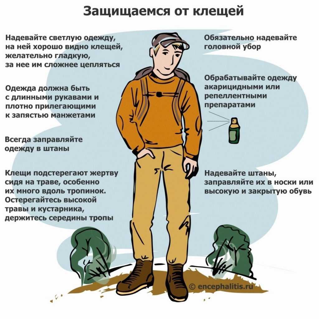 Какие запахи не любят и какой запах отпугивает кошек и котов