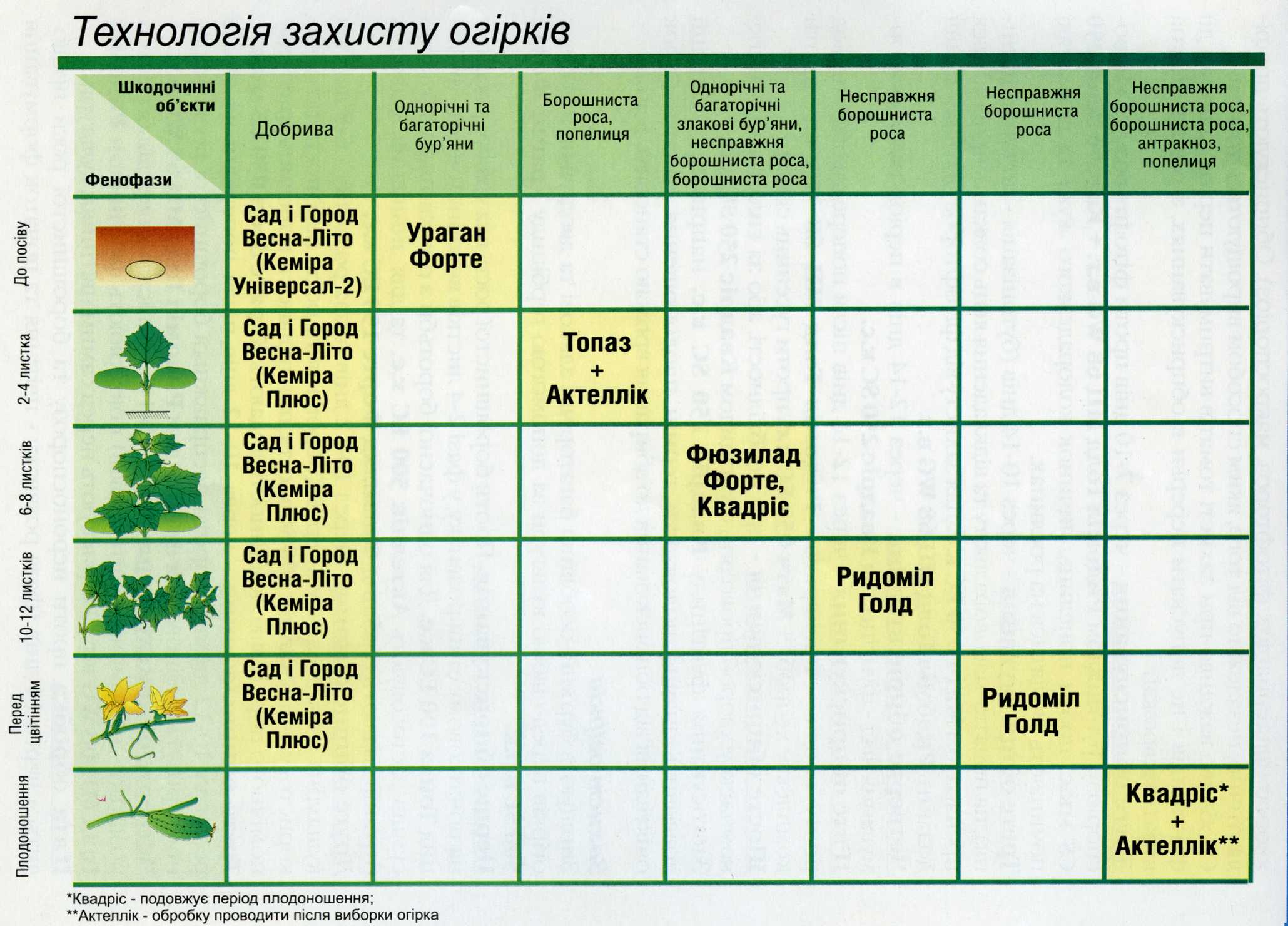 Обработка осенью от болезней и вредителей. Схема защиты плодовых деревьев. График обработки плодовых деревьев от вредителей и болезней. Таблица опрыскивания винограда весной. Схема обработки деревьев весной.