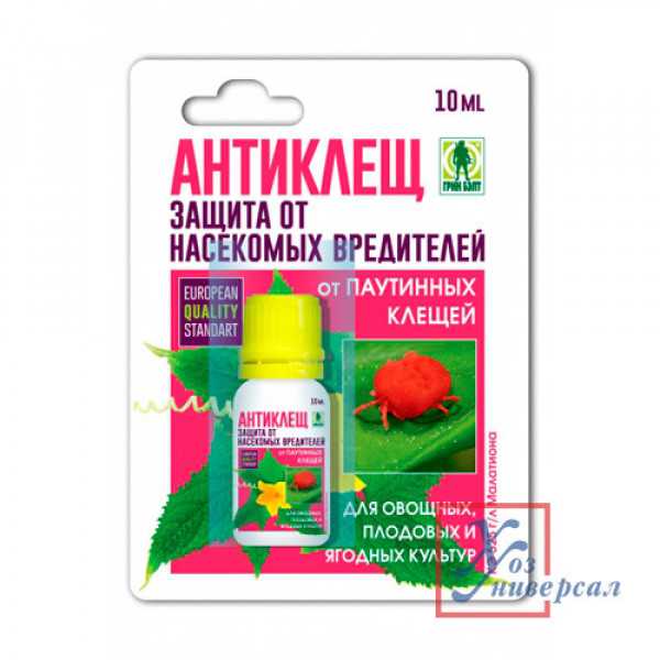Средства от паутинного клеща: самые эффективные препараты для борьбы с вредителем