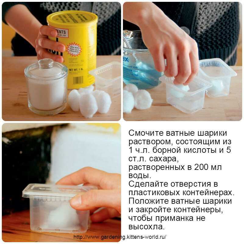 Ловушки от муравьев в квартире: характеристика и принцип действия, популярные марки, достоинства и недостатки, отзывы потребителей, видео