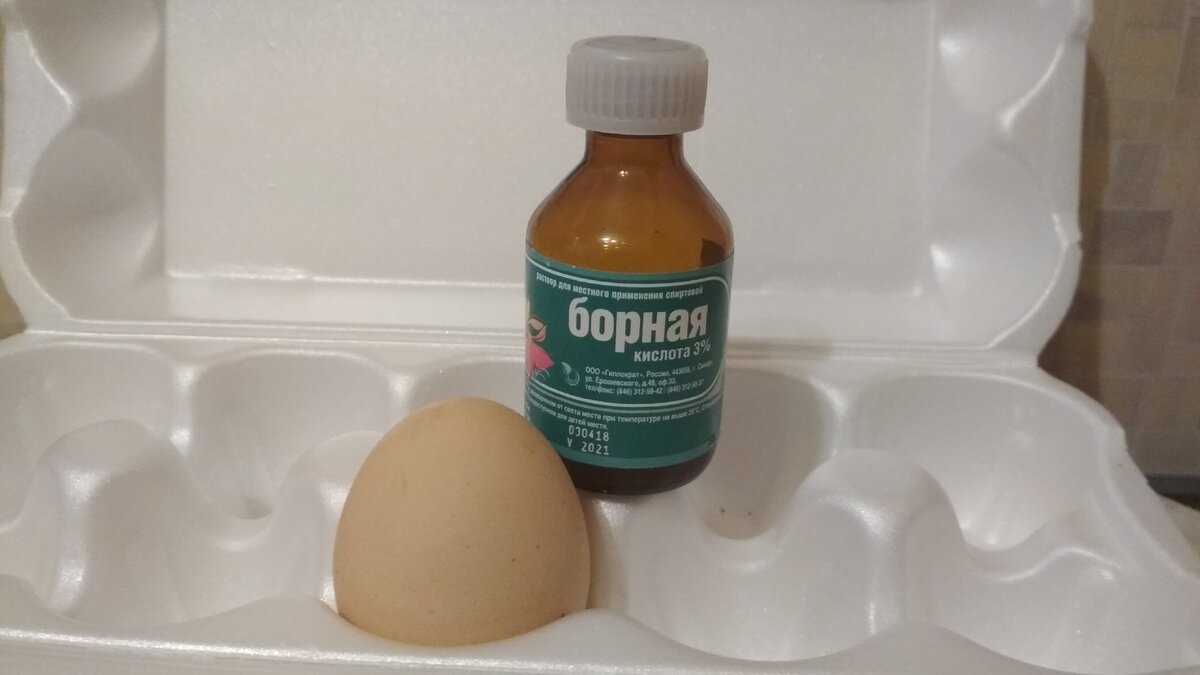 9 рецептов отравы с борной кислотой от тараканов: с яйцом, хлебом