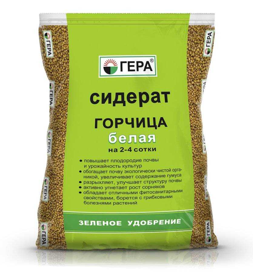 Горчица от муравьев – прекрасное народное средство, доступное каждому дачнику Как действует горчица на муравьев Преимущества использования горчичного порошка и эффективные рецепты с горчицей против муравьев