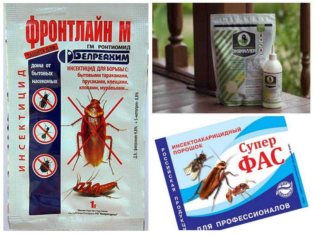 Чего больше всего боятся тараканы? какой запах отпугивает?